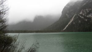 D�rrensee