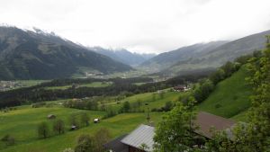 Pinzgau