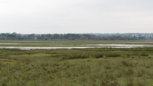 Brackland