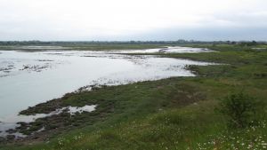 Gezeitenlandschaft