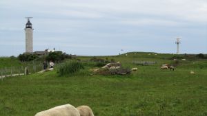 Le Cap Gris Nez