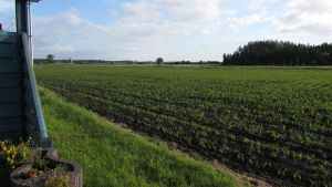B&B Ateljee Devlaux, Veurne