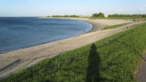 Yerseke