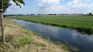 Haarijnseplas