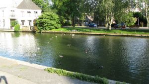 Weesp