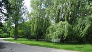 Oosterpark