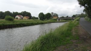 Schneckenbusch