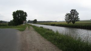 Schneckenbusch