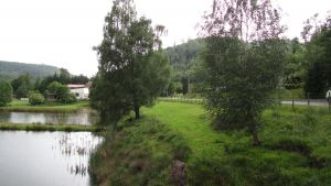 Turquestein