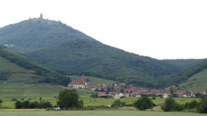 Blick von Orschwiller