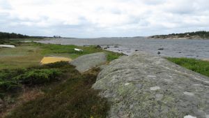 Asmal&oslash;y