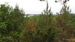 Stenungsund