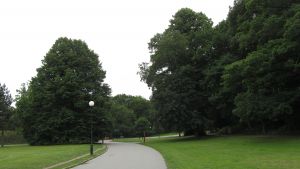 Slottsskogen