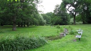 Slottsskogen