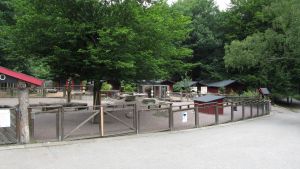 Slottsskogen