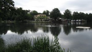 Slottsskogen