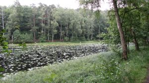 B�ckedalen