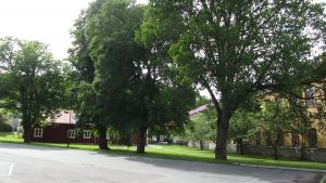 Stora Billingen