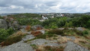 Saltholmen