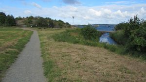 Sj�backa