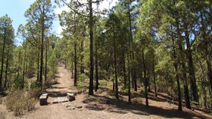Parque Natural Tamadaba