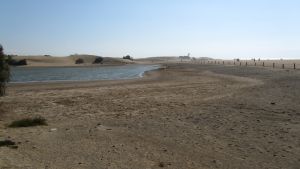 Dunas