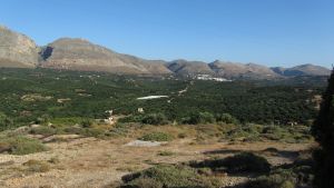 Zakros