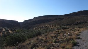 Zakros