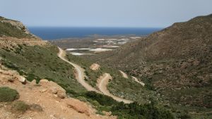 Elefanosi