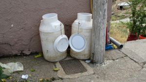 Anogia