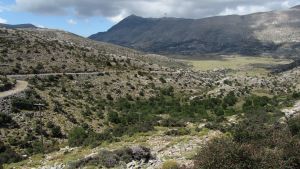 Nidas Hochplateau