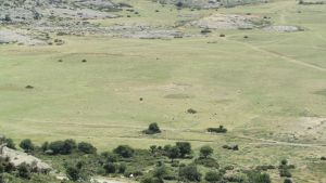 Nidas Hochplateau