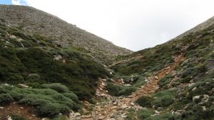 Nidas Hochplateau