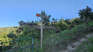 Ilha