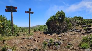 PR 6.5 Verreda do Pico Fernandes