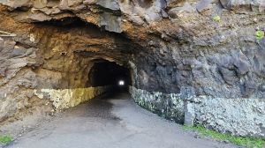 Ilh�us da Ribeira da Janela