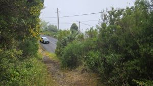 Abk�rzung unter PR17