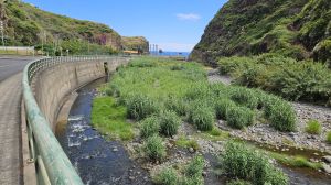 Faial