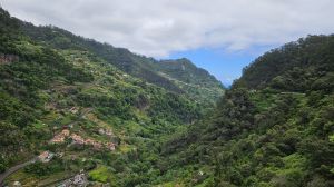 Parque Natural do Ribeiro Frio