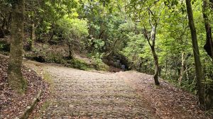 Ribeiro Frio