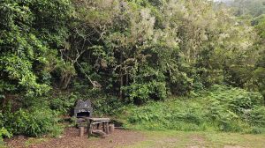 Ribeiro Frio