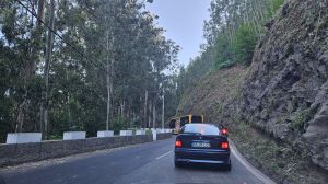 Curral das Freiras