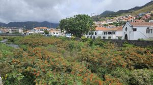 Machico