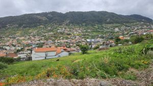 Machico
