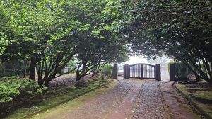 Santo da Serra