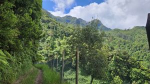 Levada dos Tornos