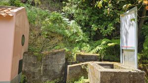 Levada dos Tornos