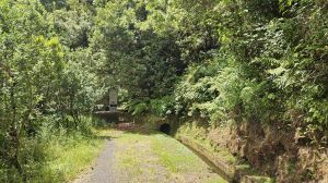 Levada dos Tornos