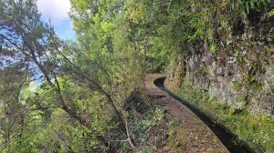 Levada dos Tornos