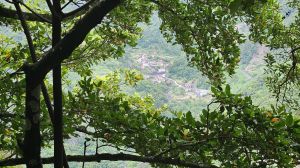 Levada dos Tornos